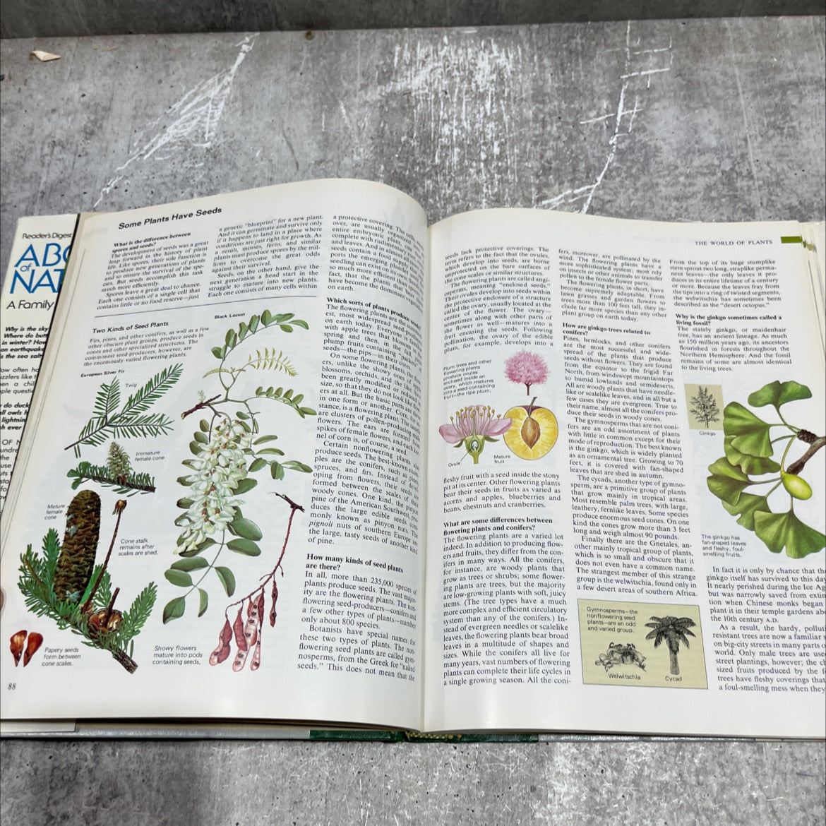 abc's of nature book, by Reader's Digest Association, 1984 Hardcover
