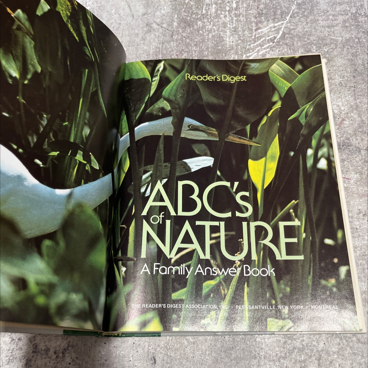 abc's of nature book, by Reader's Digest Association, 1984 Hardcover